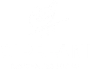 Logo-Cipriani
